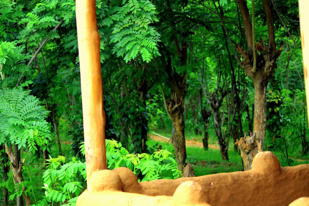 Pepper Hills Cottages Ella Esterno foto
