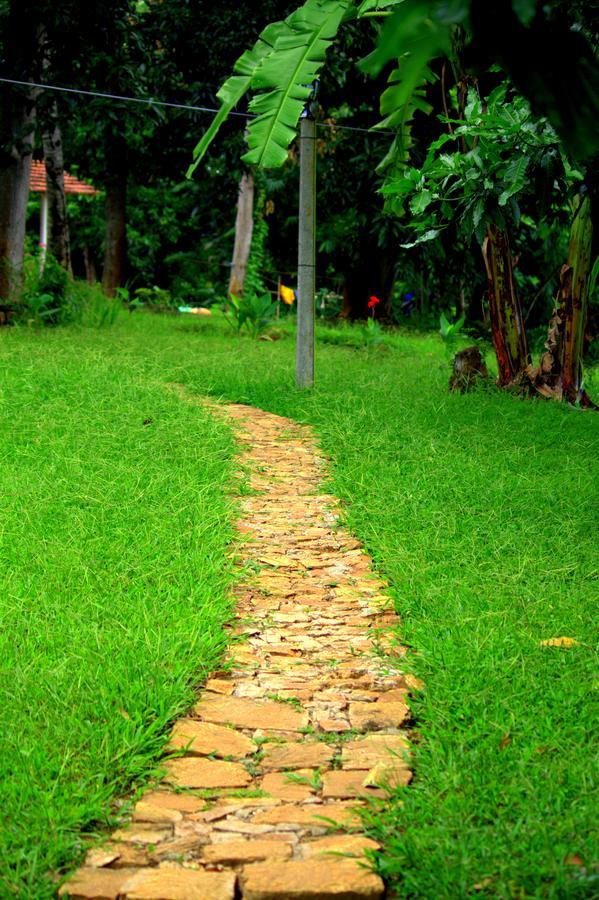 Pepper Hills Cottages Ella Esterno foto